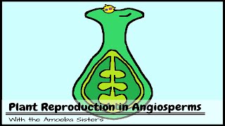 Plant Reproduction in Angiosperms [upl. by Pelag]