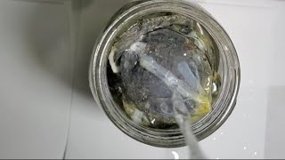 making a tincture from rosin pucks and everclear [upl. by Notniv]