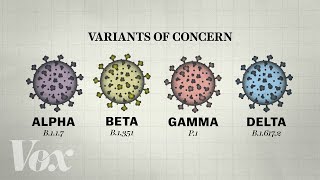 Why so many Covid19 variants are showing up now [upl. by Annaert616]