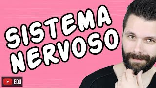 SISTEMA NERVOSO  FISIOLOGIA  Aula  Biologia com Samuel Cunha [upl. by Illac]