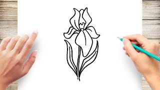 How To Draw Iris Flower Step by Step [upl. by Frear]