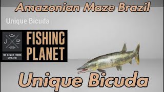 Unique Bicuda  Amazonian Maze Brazil  Fishing Planet Guide [upl. by Sanfo]