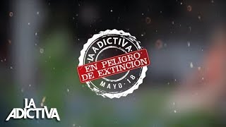 La Adictiva  En Peligro De Extinción Lyric Video [upl. by Zennie730]