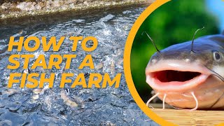 How to start Fish Farming  Fish Farming for Beginners [upl. by Derdle]