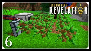 How To Play FTB Revelation  Automatic Farming  E06 Modded Minecraft For Beginners [upl. by Ifar]