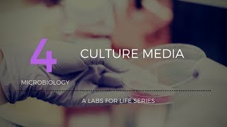 Culture Media [upl. by Naeerb]