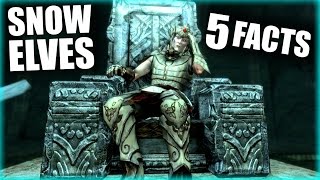 Skyrim  5 Snow Elf Facts  Elder Scrolls Lore [upl. by Nimra68]