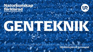 Genteknik förklarad  BIOLOGI  Gymnasienivå [upl. by Kosiur]