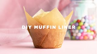 How to Make Cupcake Liners [upl. by Thapa]