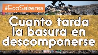 😱 CUÁNTO DEMORA LA BASURA EN DESCOMPONERSE ☞ EcoSaberes [upl. by Natica243]