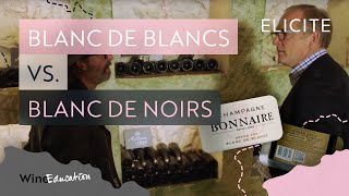 Champagne Types Blanc De Blancs Vs Blanc De Noirs [upl. by Ardnekan434]