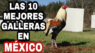 Las 10 mejores Galleras en México [upl. by Ferri]