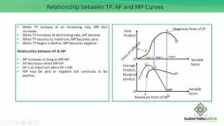 Class 12th – Relationship between TP AP and MP Curves  Economics  Tutorials Point [upl. by Orag936]