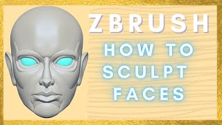 Zbrush Face How To Sculpt The Face  Character Modeling [upl. by Aivekahs500]