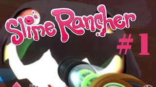 Slime Rancher  All Slimes And Where To Find Them [upl. by Biagio]