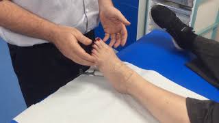 How to check for the dorsalis pedis amp anterior tibial pulse with a Doppler [upl. by Duleba]