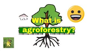 What is Agroforestry [upl. by Notsreik]