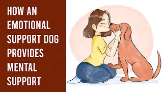 How an Emotional Support Dog Provides Mental Support [upl. by Labanna693]