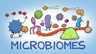 What Your Microbiome Does For Your Body [upl. by Freyah]