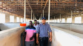 Update A working visit to the 105 thousand capacity fish farm we constructed in Imo stateNigeria [upl. by Orsola]