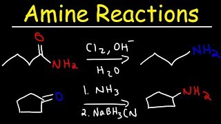 Amine Synthesis Reactions [upl. by Tibbitts]