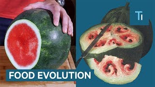 What Fruits And Vegetables Looked Like Before We Domesticated Them [upl. by Eserahs]