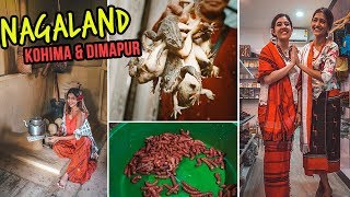 NAGALAND  KOHIMA amp DIMAPUR  Travelling in NorthEast India  Indian Travel vlogs [upl. by Ingrim]