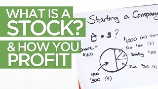 What is a Stock amp How YOU Make Money in the Market [upl. by Shirberg763]