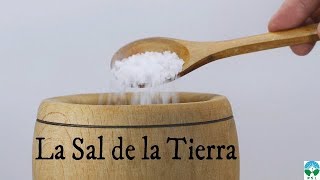 La sal de la tierra  Reflexión [upl. by Groh]