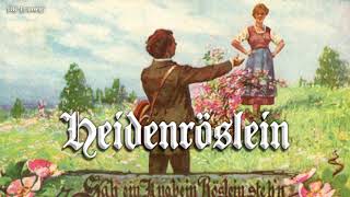 Heidenröslein German folk songEnglish translation [upl. by Sellihca]