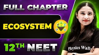 Ecosystem FULL CHAPTER  Class 12th Botany  Lakshya NEET [upl. by Hamo915]