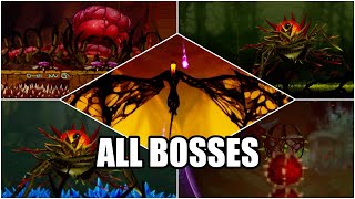 Unbound Worlds Apart All Boss Fights [upl. by Oicnoel]