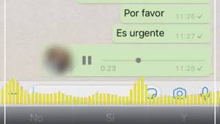 PAPÁ ENOJADO EN GRUPO DE WHATSAPP COMPLETO [upl. by Kitchen272]