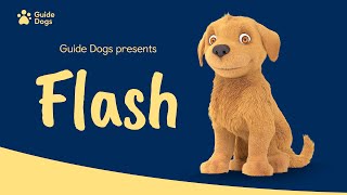 GUIDE DOGS  FLASH ANIMATION [upl. by Gibb]