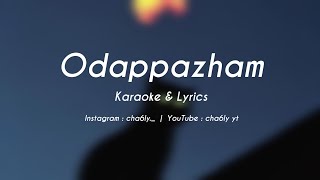 Odappazham Poloruഓടപ്പഴം പോലൊരുFast Karoake With Lyrics MalyalamKalabhavan Mani Karoake [upl. by Rebe]