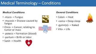 Medical Terminology  The Basics  Lesson 4 [upl. by Anselm700]