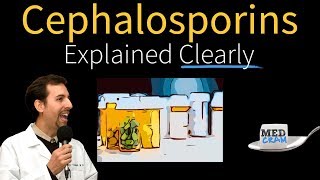 Cephalosporins  Antibiotics Explained Clearly [upl. by Eiggep222]