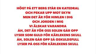 Danny Saucedo  För kärlekens skull Lyrics [upl. by Lotus]