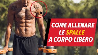 Come allenare le spalle a corpo libero [upl. by Lamaj754]