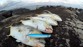 Fish CANNOT Resist This LURE Jetty Fishing Florida [upl. by Lymann]