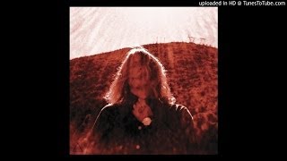 Ty Segall  Feel [upl. by Yentrac]