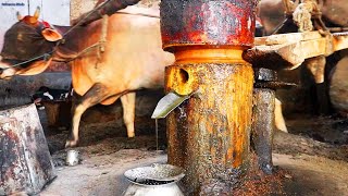 Traditional Mustard Oil Making Process [upl. by Farro554]