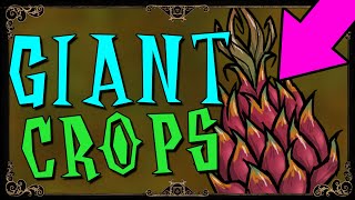 HOW TO GROW GIANT CROPS  Dont Starve Together Guide [upl. by Ultann810]