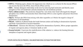 Phenol chloroform DNA extraction method [upl. by Asus]