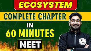 ECOSYSTEM in 60 minutes  Complete Chapter for NEET [upl. by Ahsenak]