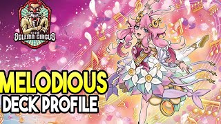 YuGiOh Melodious Deck Profile [upl. by Eenet]