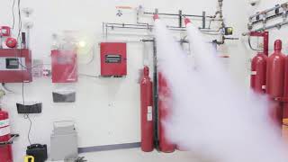 CO2 Fire Suppression [upl. by Ariec]