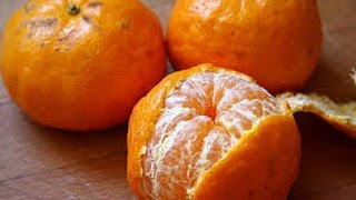 GERMINAR semillas de mandarinas HOW TO MAKE Germinate seeds of tangerines [upl. by Dracir]