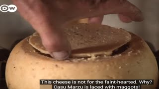 This Cheese is Banned Across the World [upl. by Eiggem]