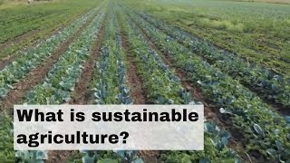 What is sustainable agriculture [upl. by Nylaret]